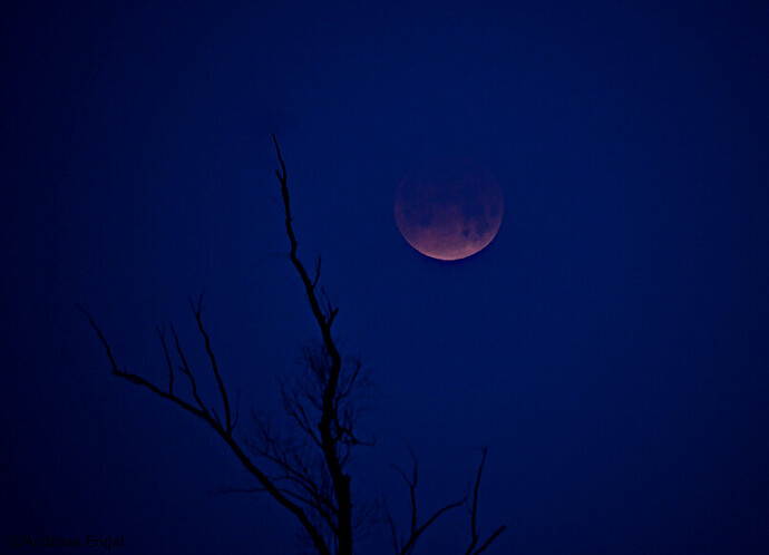MoonEclipse5_2056