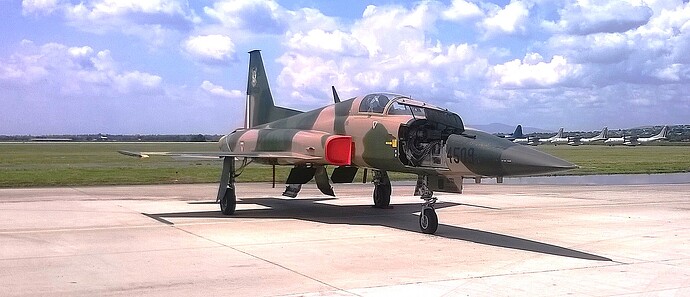 F-5E_bis