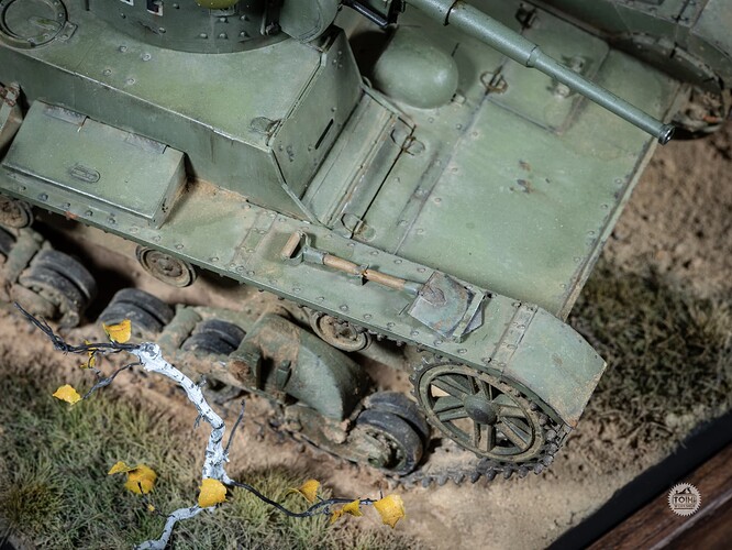 TW - Finnish T26 (7 of 8)