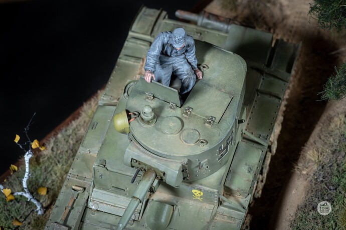 TW - Finnish T26 (6 of 8)