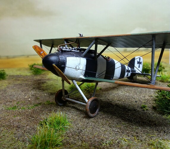 447638082_1005305164451242_4474712405997458446_n