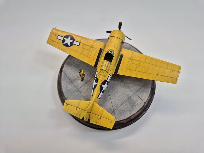 F1 (6)