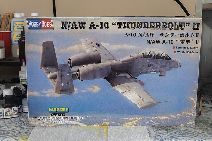 Hobby Boss N AW A-10