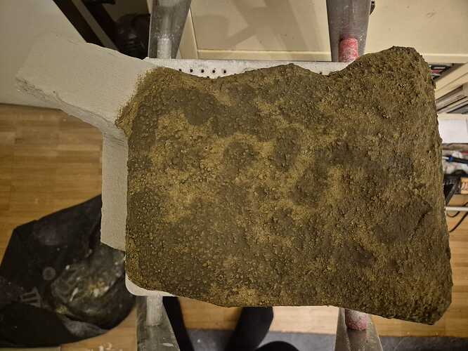 WhatsApp Image 2026-03-04 at 03.34.30 (2)