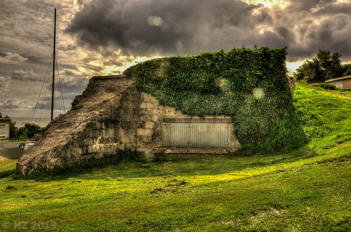 fox_green-0812-003-1024x678