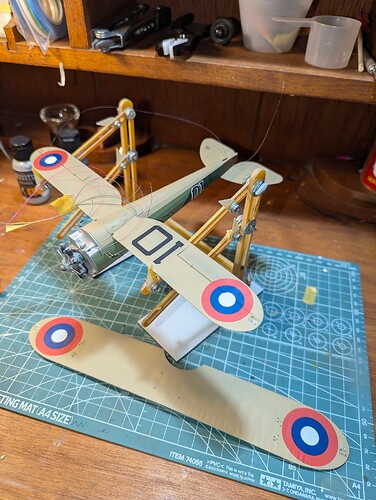 PXL_20241222_061828003