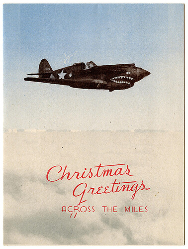 wwiiusaafffvictxp40obv