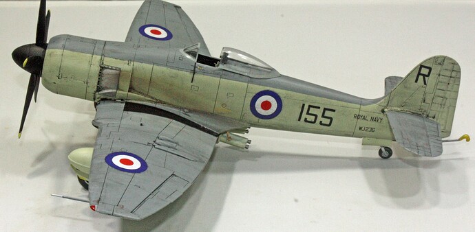 Sea Fury 48 6