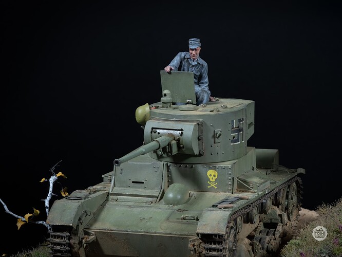 TW - Finnish T26 (8 of 8)