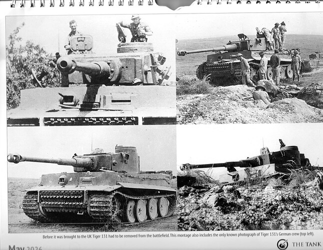 Tiger 131 3