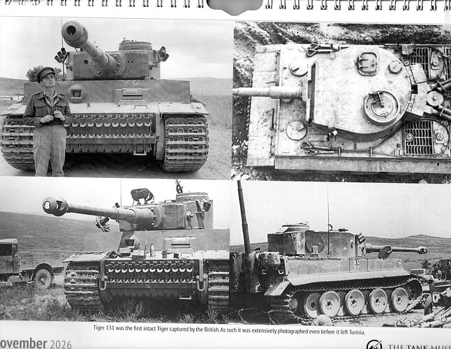 Tiger 131 2
