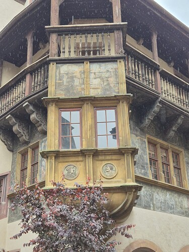 WhatsApp Image Colmar-22