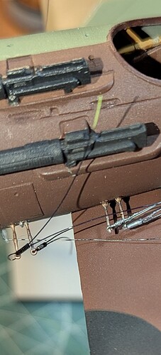 PXL_20241222_061946554~2