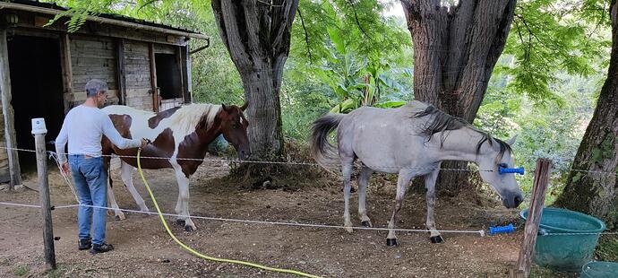 IMG_20250715_182700_1