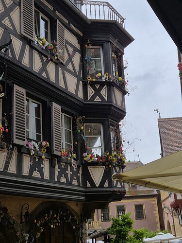 WhatsApp Image Colmar-09