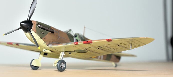 BF58EA3C-417A-41C2-BF88-FEE8BF7298BFSpitfire_6