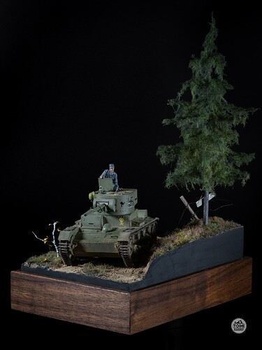 TW - Finnish T26 (1 of 8)