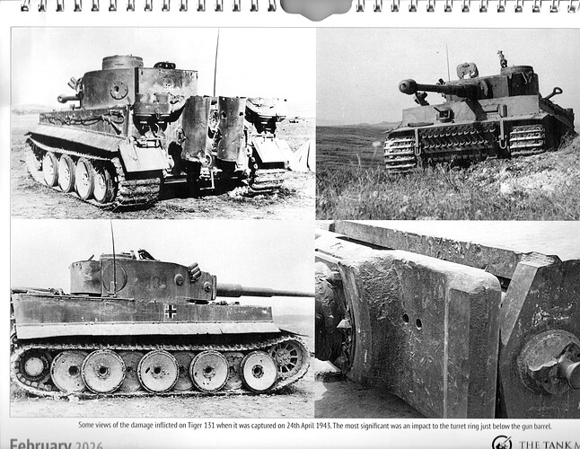 Tiger 131 1