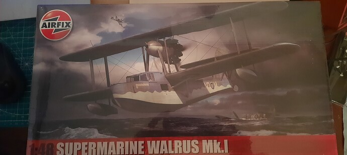 Walrus