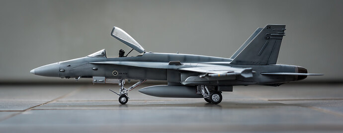 46416077735_f2500e75b2_k