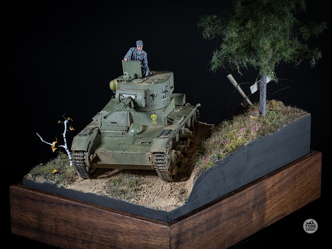 TW - Finnish T26 (5 of 8)