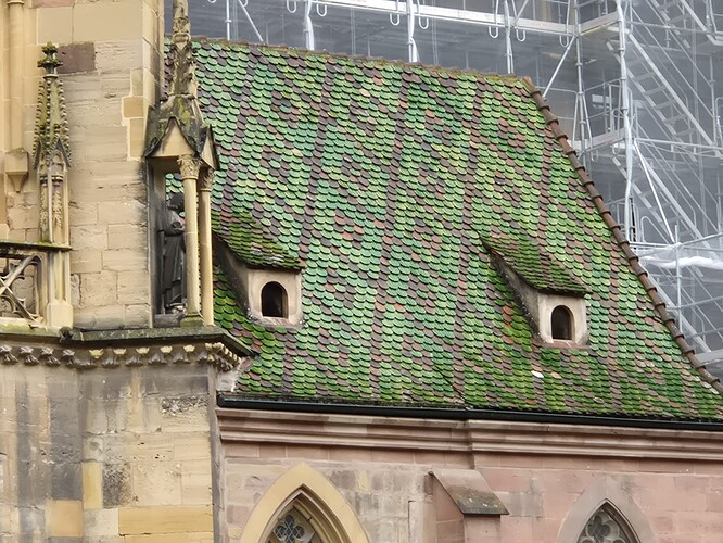 WhatsApp Image Colmar-42
