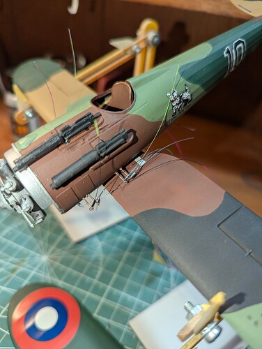 PXL_20241222_061735854 (2)