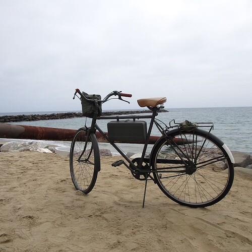Bicycles_b