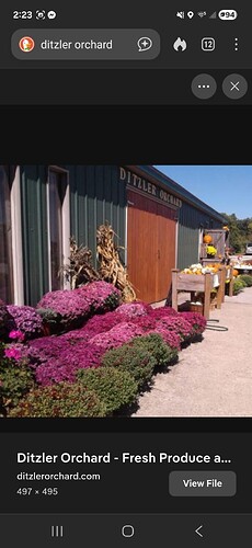 Screenshot_20260123_142339_DuckDuckGo