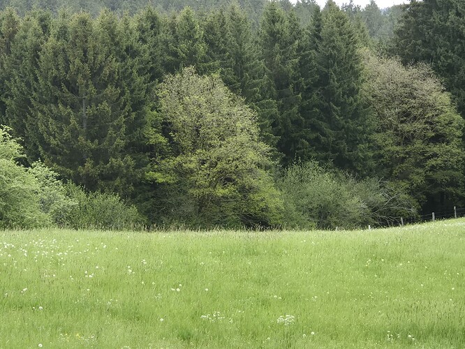 WhatsApp Image 2026-05-28 at 12.22.53 AM (8)