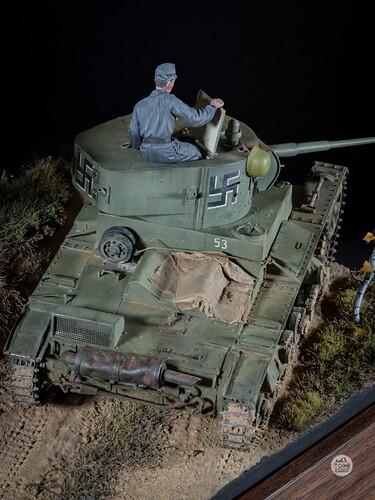 TW - Finnish T26 (4 of 8)