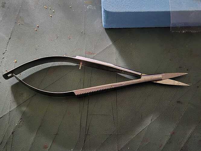 WhatsApp Image 2026-04-24 at 09.39.00