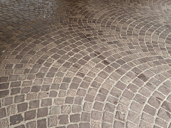 WhatsApp Image Colmar-47