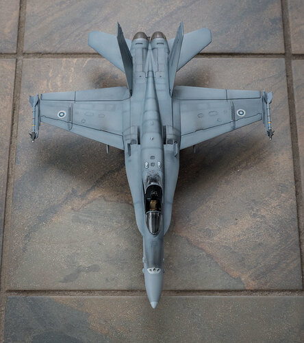 46416078175_4d5e69444a_k