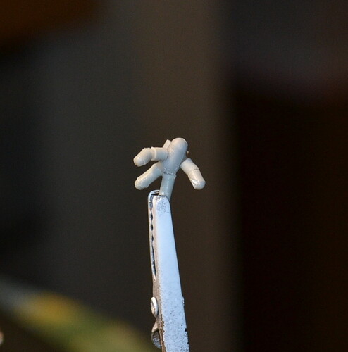 DSC_0301 (1)