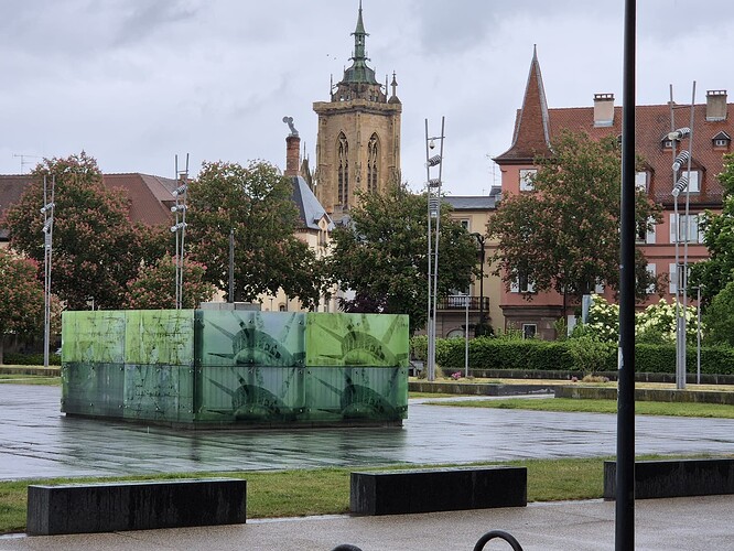 WhatsApp Image Colmar-61