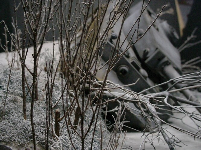 MVC-004F
