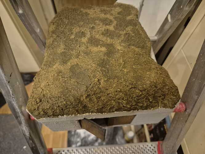 WhatsApp Image 2026-03-04 at 03.34.30