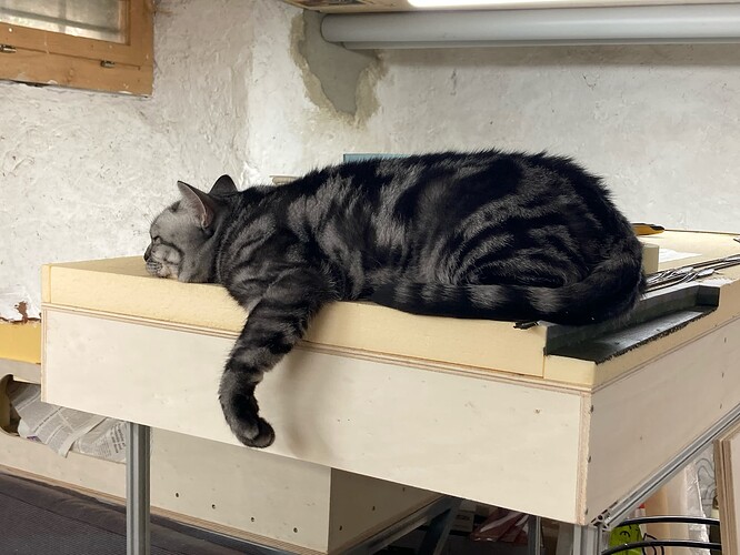 3C9A016D-5733-4B5E-B3B4-5BEDAE68F140