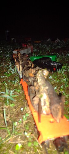 IMG_20250714_041425597