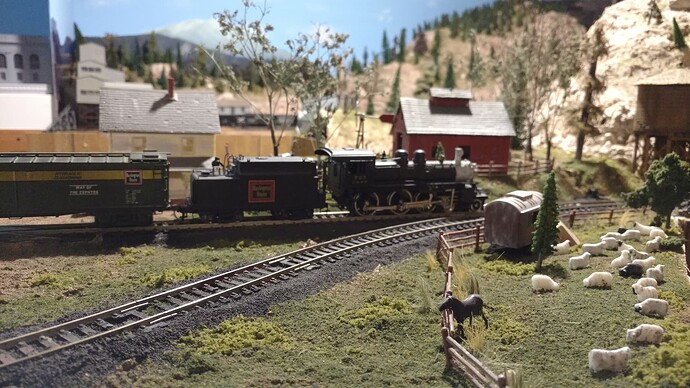 IMG_20210605_124510211