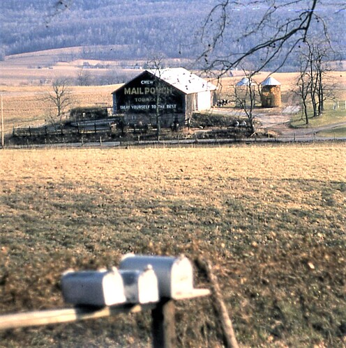 Barn with Mail Pouch paint. North of Rockville, PA. March 1980