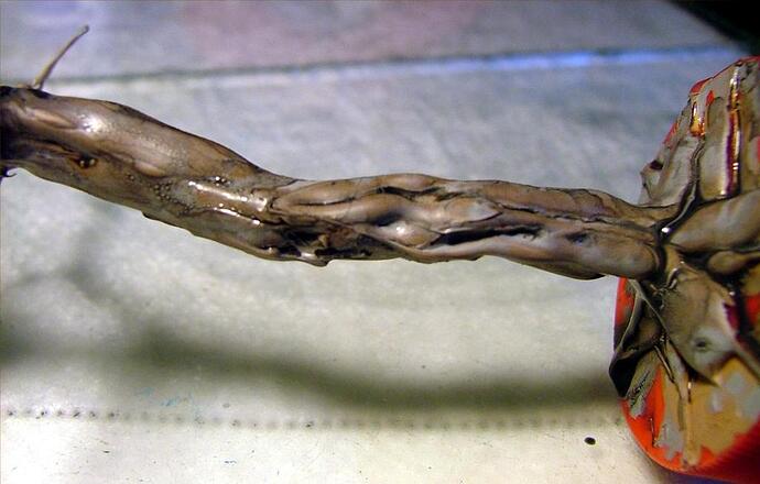 dscf2389x_zps9qwacpmo_34797933454_l