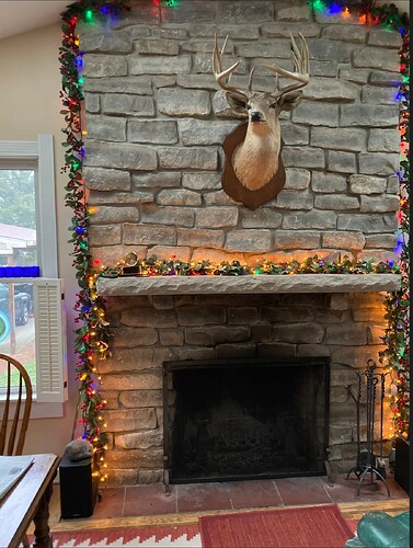 Screenshot 2026-03-04 at 2.44.14 PM