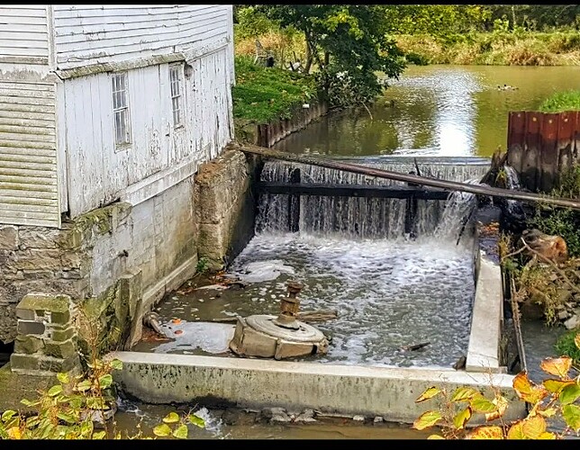 Screenshot_20260124-160343 (1)