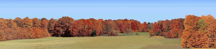 Autumn O demo