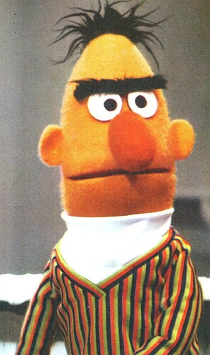 Bert1970s