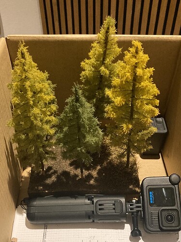 C323F1F9-2484-4487-9469-AF07B318145E