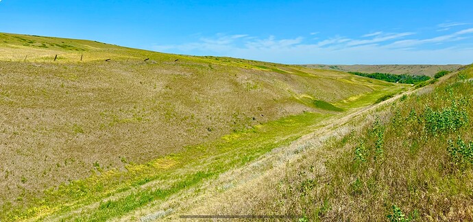 IMG_2405