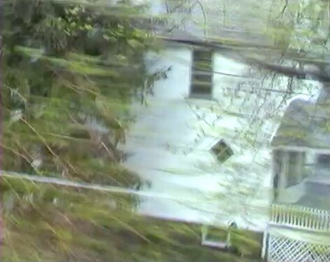 Screen Shot 2020-07-08 at 7.48.01 PM